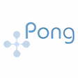 Icon of program: Pong