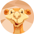 ไอคอนของโปรแกรม: Camel Calculator