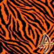 Tiger - Theme By Arjun Arora