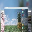 Icon of program: HuntSplash: Beautiful Pho…