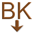 プログラムのアイコン：BK Exporter
