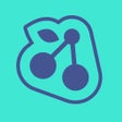 Icon of program: CHERRISK GO