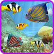 プログラムのアイコン：Aquarium and fishes