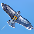 Icon of program: Kites Designs