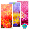 Icono de programa: Wallpaper HD