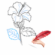 Icon of program: How To Draw Flowers