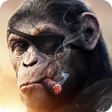 プログラムのアイコン：Apes Age