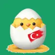 Ikon program: Learn Turkish For Kids