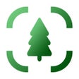 Tree Identifier - AI Scanner