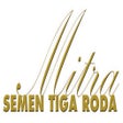Programın simgesi: Mstr