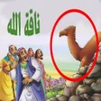 プログラムのアイコン：قصة نبي الله صالح عليه ال…