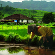 Ikona programu: Village Photo Frames - Vi…