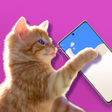 プログラムのアイコン：Cat barista: food truck d…