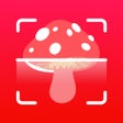 プログラムのアイコン：Mushroom ID - Identificat…