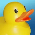 程序图标：Rubber Duck 3D - Relaxing…