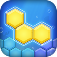 أيقونة البرنامج: Block Puzzle Tangram