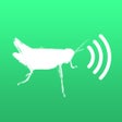 程序图标：Crickets