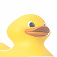 Icon of program: LuckyDucks