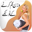 程序图标：Wazan Kam Karny ky Tariky…