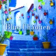 Blue Chaouen Theme HOME
