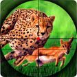 Иконка программы: Cheetah Hunter 2016