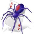 程序图标：Spider Solitaire