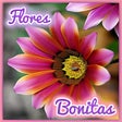 Ikon program: Flores Bonitas