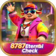 Icoon van programma: 8787Eternal Check