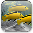Symbol des Programms: Dream Aquarium Screensave…
