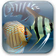 Icône du programme : Dream Aquarium Screensave…