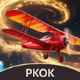 Programın simgesi: PKOK FloodTrek