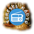 程序图标：Yöresel Radyo Dinle