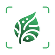 AI Plant Identifier App