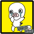 프로그램 아이콘: 돼지력 테스트