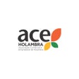 ไอคอนของโปรแกรม: ACE Holambra