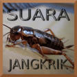 Ikon program: Kumpulan Suara Jangkrik