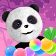 Ikon program: Panda Bubble