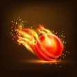程序图标：Cricket Predicted 2021