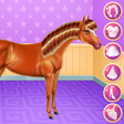 程序图标：Horse Care and Riding