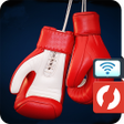 程序图标：Box Fighter Viewer