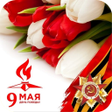 Icon of program: 9 Мая с Днем Победы