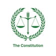 Ícone do programa: Nigerian Constitution 199…