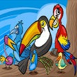 프로그램 아이콘: Exotic Birds Coloring