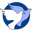 Icon of program: 有家项目经理端