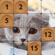 程序图标：Fifteen Pictures Puzzle