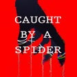 Ícone do programa: Caught by a Spider