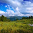 Ikon program: New Tab Nature