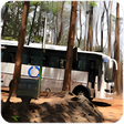 Off-Road Tourist Bus Driver 2