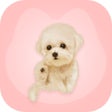 プログラムのアイコン：Dog Barking