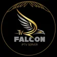 Falcon Gold TV